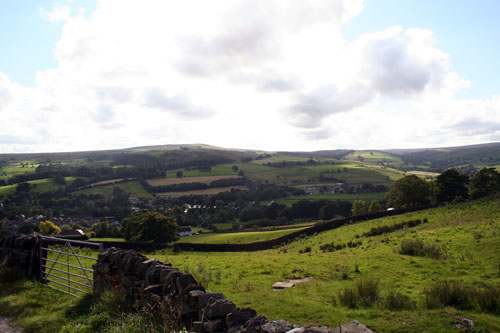 Pateley View